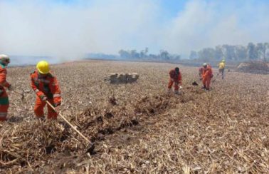 Incêndio no Parque Estadual do Cocó, em Fortaleza, é debelado pelas Forças de Segurança e brigadistas florestais