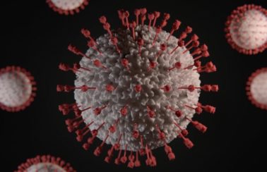 GSK: teste mostra que coquetel de anticorpos funciona contra Ômicron