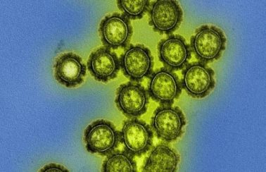 Bahia registra primeira morte por H3N2; pessoa não estava vacinada contra a Influenza