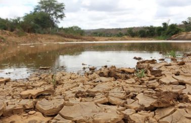 Estiagem: Governo Federal reconhece situação de emergência em 35 cidades do Piauí