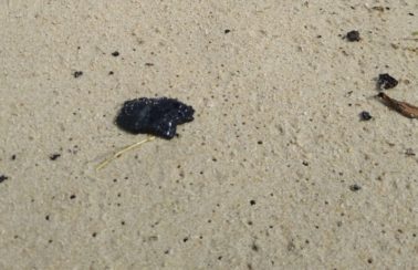 Manchas de óleo são encontradas em seis praias cearenses