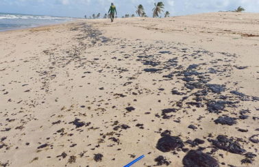 Litoral do Ceará tem 64 praias com manchas de óleo