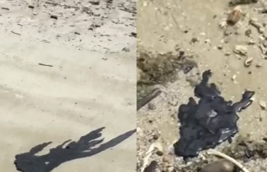 Manchas de óleo voltam a aparecer na Baía de Todos os Santos; especialista descarta relação com material de 2019