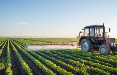 Rússia mantém envio de fertilizantes para o Brasil apesar da guerra, diz Ministério da Agricultura