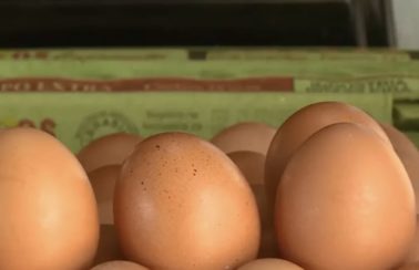 População chega de madrugada e passa 7 horas em fila para comprar ovo mais barato em Teresina