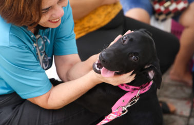 Fortaleza é referência com programa Pet Friendly para outras cidades do Brasil
