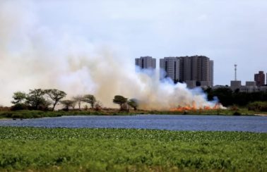 Seis meses após incêndio, Parque do Cocó, em Fortaleza, vai receber 35 câmeras de monitoramento