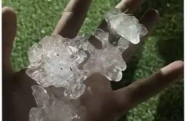 Cidade no extremo sul da Bahia é atingida por chuva de granizo; árvores foram derrubadas pelo temporal