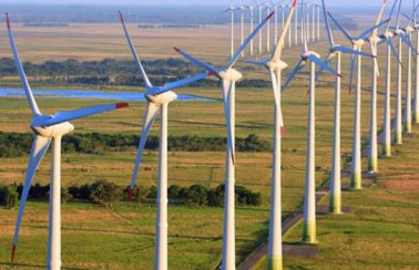 Parques eólicos no Nordeste batem recorde de produção de energia