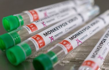 Anvisa aprova liberação de vacina e medicamento contra varíola dos macacos