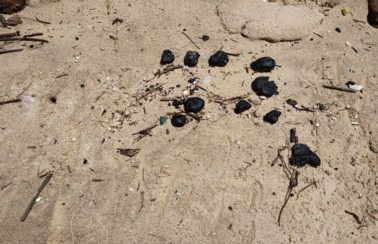 Após atingir Pernambuco, bolotas de óleo chegam a praias da Paraíba