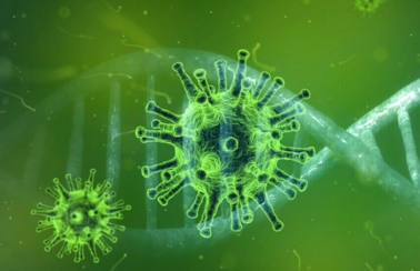 Laboratório identifica 1º caso da variante XBB.1.5 no Brasil