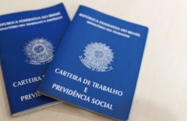Desemprego recua para 8,1% em novembro e tem menor taxa em 7 anos