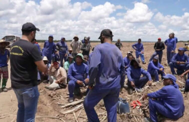 Rio Grande do Norte teve 32 trabalhadores em condições análogas à escravidão resgatados em 2022, diz MPT