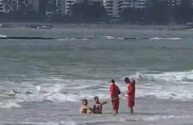 Banhistas e pescadores se arriscam no mar na mesma área em que jovem foi atacado por tubarão em Pernambuco