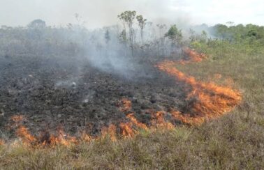 Ministério do Meio Ambiente declara estado de emergência ambiental no Piauí por riscos de incêndios florestais