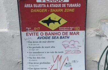 Novas placas de alerta para ataque de tubarão são pichadas, roubadas ou quebradas em Pernambuco