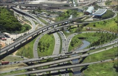 MP-BA recomenda instalação de câmeras após denúncias de cachorros arremessados de viaduto em Salvador