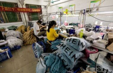 Rio Grande do Norte será sede da primeira fábrica da Shein no Brasil