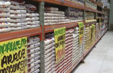 Arroz está 16% mais caro em 2023, diz pesquisa