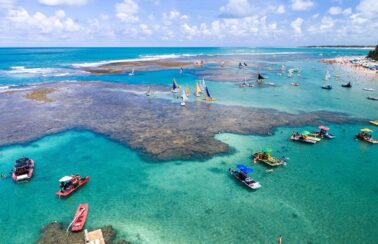 Corais podem evitar R$ 160 bilhões em danos ao litoral do Nordeste