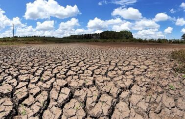 Ao menos sete cidades baianas entram em situação de emergência por causa da seca