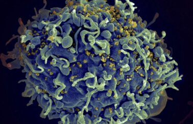 Ministério da Saúde inclui novo grupo para vacina do HPV e incorpora medicamento para pacientes com HIV