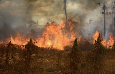 Ceará tem áreas sem chuva há 150 dias e propensas a incêndios