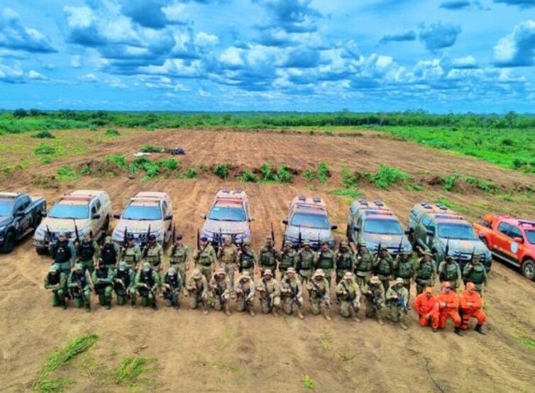 Em ação conjunta, polícias da Bahia e Piauí erradicam 120 mil pés de maconha na divisa