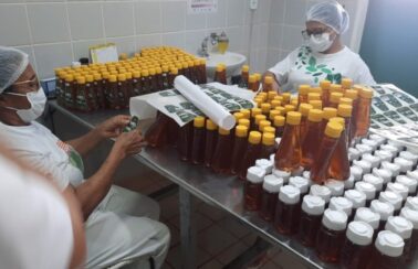Governo do Piauí compra 11 toneladas de mel para ajudar produtores impactados pelo tarifaço